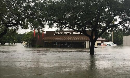 AI startup aims to predict flooding, down to your block
