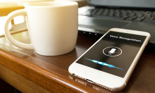 Businesses are betting big on voice to rope in and keep customers. Heres why and how theyre doing it