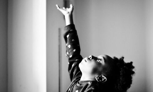 The Inclusion Alpha: Year in Review