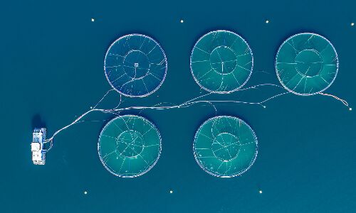 Using Technology to Enhance Global Food Security