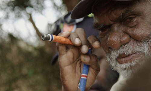 Transitions Film Festival Presents Visions for a Better World | PBA Transitions Film Festival Presents Visions for a Better World | PBA