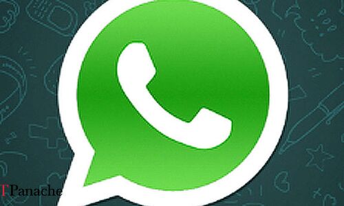 Fake, no more: WhatsApp launches tip line to submit rumours, uncertain info during LS polls