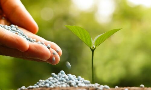 How MyCrop Is Using Blockchain To Identify Spurious Seeds