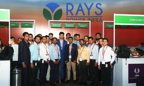 Solar EPC Firm Rays Power Infra Raises $28.5 Mn from DMI Finance