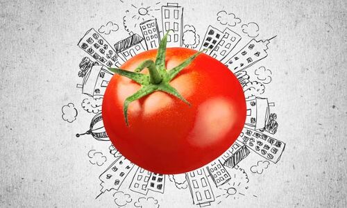 Chennai based Agritech Startup WayCool Raises $17 Mn from LGT Impact, Northern Arc Capital and Caspian