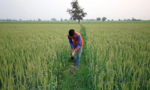 Tiger Global is roaring back to life in India Tiger Global is roaring back to life in India