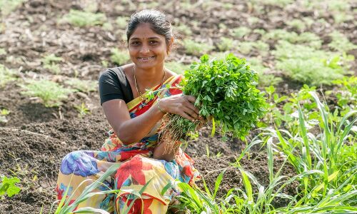 Indian AgriFood Supply Chain Sensor Startup AgNext Raises $2m Pre-Series A Round with Kalaari Capital - AgFunderNews