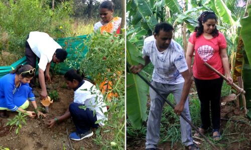 Live Green: 5 Startups That’ll Help You Set Up An Organic Urban Farm From Scratch! Live Green: 5 Startups That’ll Help You Set Up An Organic Urban Farm From Scratch!