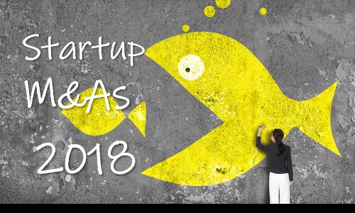 Beyond Flipkart, acquisitions in 2018 favoured fintech and financial services startups