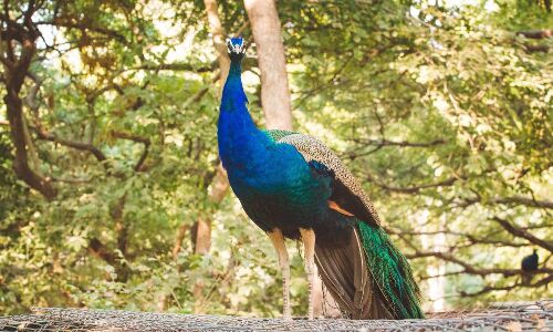 Herere Top 10 Innovative Indian Companies by Fast Company Herere Top 10 Innovative Indian Companies by Fast Company