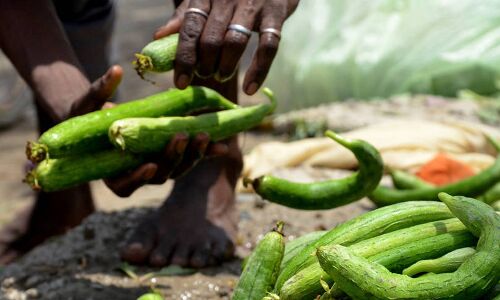 Omnivore, AgFunder invest in agri-tech startup DeHaat