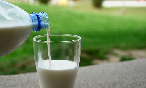 Matrix Partners India leads investment in dairy startup Country Delight
