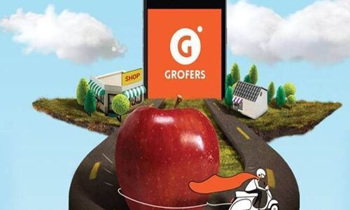 Grofers targets profitability by FY21, IPO in 3 years