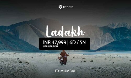 Tripoto Secures $3.6 mn From Orchid India and others