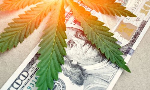 Here is Why Setting Up a Hemp Startup is Not Easy in India