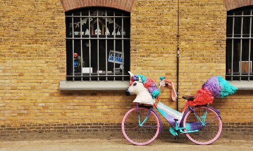 What makes a fintech unicorn?