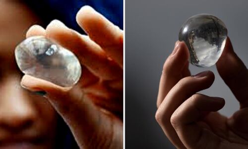 Exclusive: Meet the Bengaluru Startup Making Edible Water Pods from Seaweed! Exclusive: Meet the Bengaluru Startup Making Edible Water Pods from Seaweed!