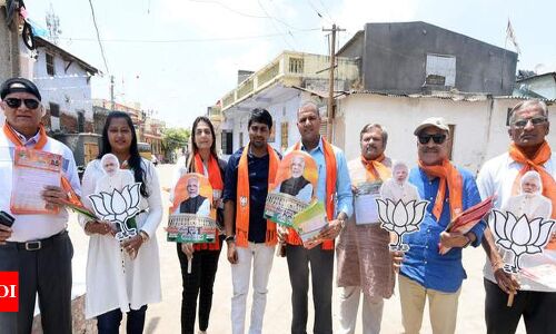 1,000 NRIs return to promote PM Modi on his home turf - Times of India 1,000 NRIs return to promote PM Modi on his home turf - Times of India