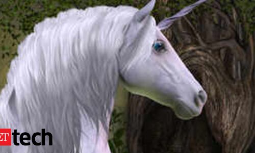 Startup Incs new establishment post Flipkart - ETtech