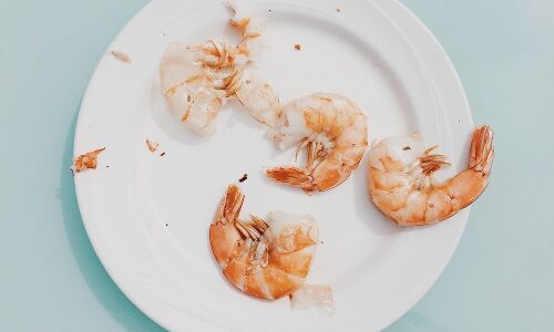 These Scientists Just Solved the Massive Shrimp Problem | LIVEKINDLY