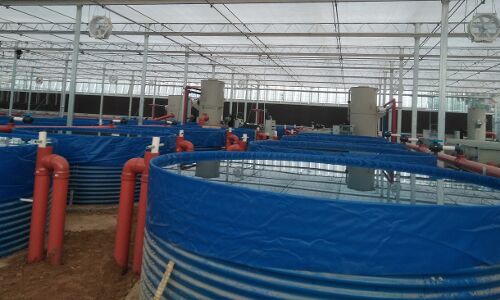 Aqua-Spark funds Israeli land-based aquatech startup