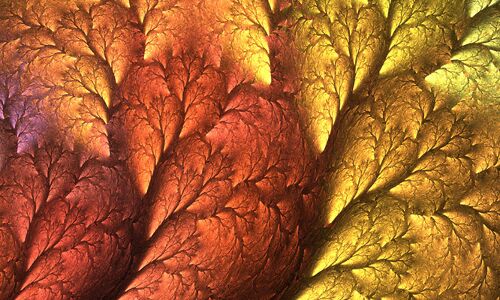 ‘Entrepreneurs are like the trunk of a tree’ – 45 quotes from Indian startup journeys