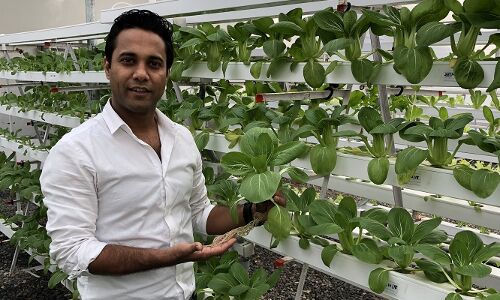 Roots of labour: IIM alumnis startup Barton Breeze brings farms to your doorstep