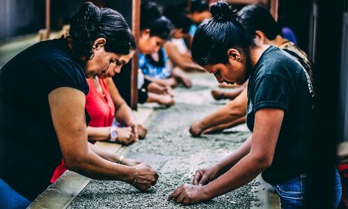 Women-led impact, student debt relief, small-ticket business loans in India, Nordic fund for the global goals Women-led impact, student debt relief, small-ticket business loans in India, Nordic fund for the global goals