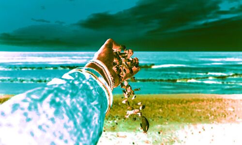 From Shells to Bitcoin: The Evolution of Payment Methods