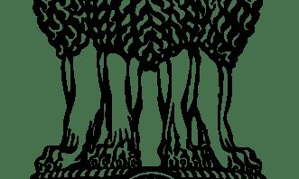 Chinese investors likely to commit $30 mn in 8 Indian start-ups - INDIA New England News