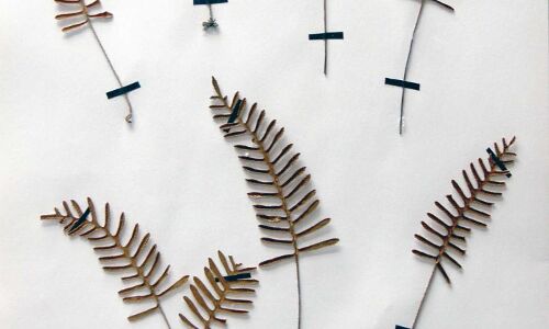 Things to do in and around Greenwich Things to do in and around Greenwich