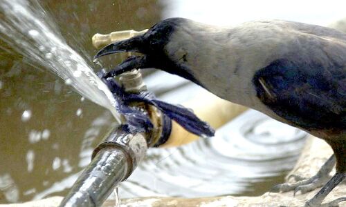 This startup seeks to identify water problems before they become crises