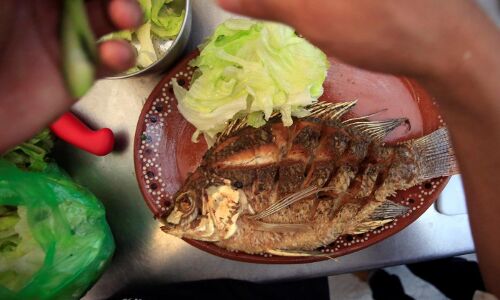 Timeline: How late-entrant Swiggy became India’s most valued food-tech startup