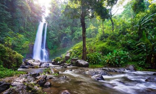 Jungle Ventures hits $175M first close on its third fund for Southeast Asia – TechCrunch Jungle Ventures hits $175M first close on its third fund for Southeast Asia – TechCrunch