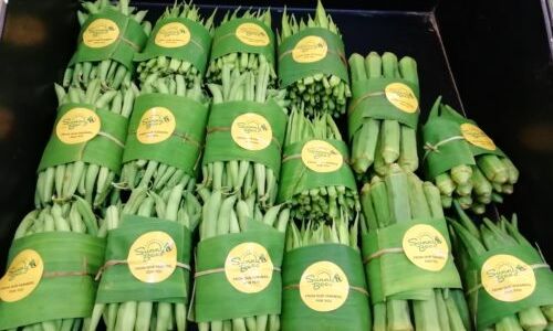 Inspired by Viral Thailand Shop, Chennai Store Uses Banana Leaves to Package Veggies! Inspired by Viral Thailand Shop, Chennai Store Uses Banana Leaves to Package Veggies!