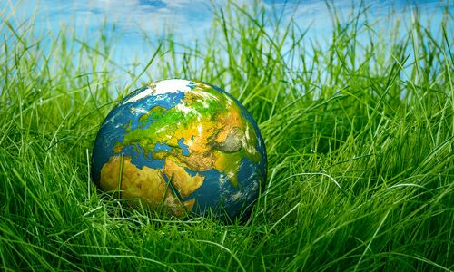 ‘Sustainability is the only way forward’ – 50 quotes from Indian startup journeys