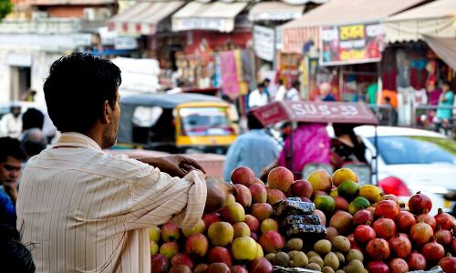 Why Syngenta Ventures Invested in India’s Ninjacart - AgFunderNews