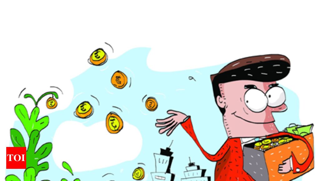 2018: The year Indian startups reached ‘adulthood’ - Times of India