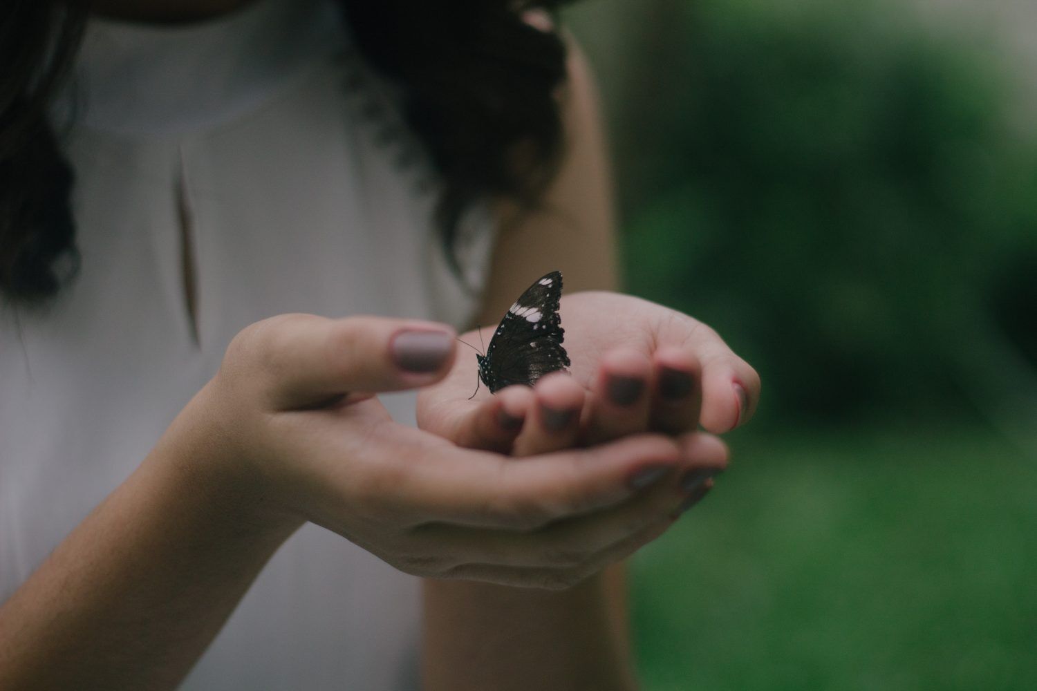 Investing in news media (podcast); insect feed; transforming energy access; immigrant entrepreneurs; Luminate, Kapor and Emerson are hiring