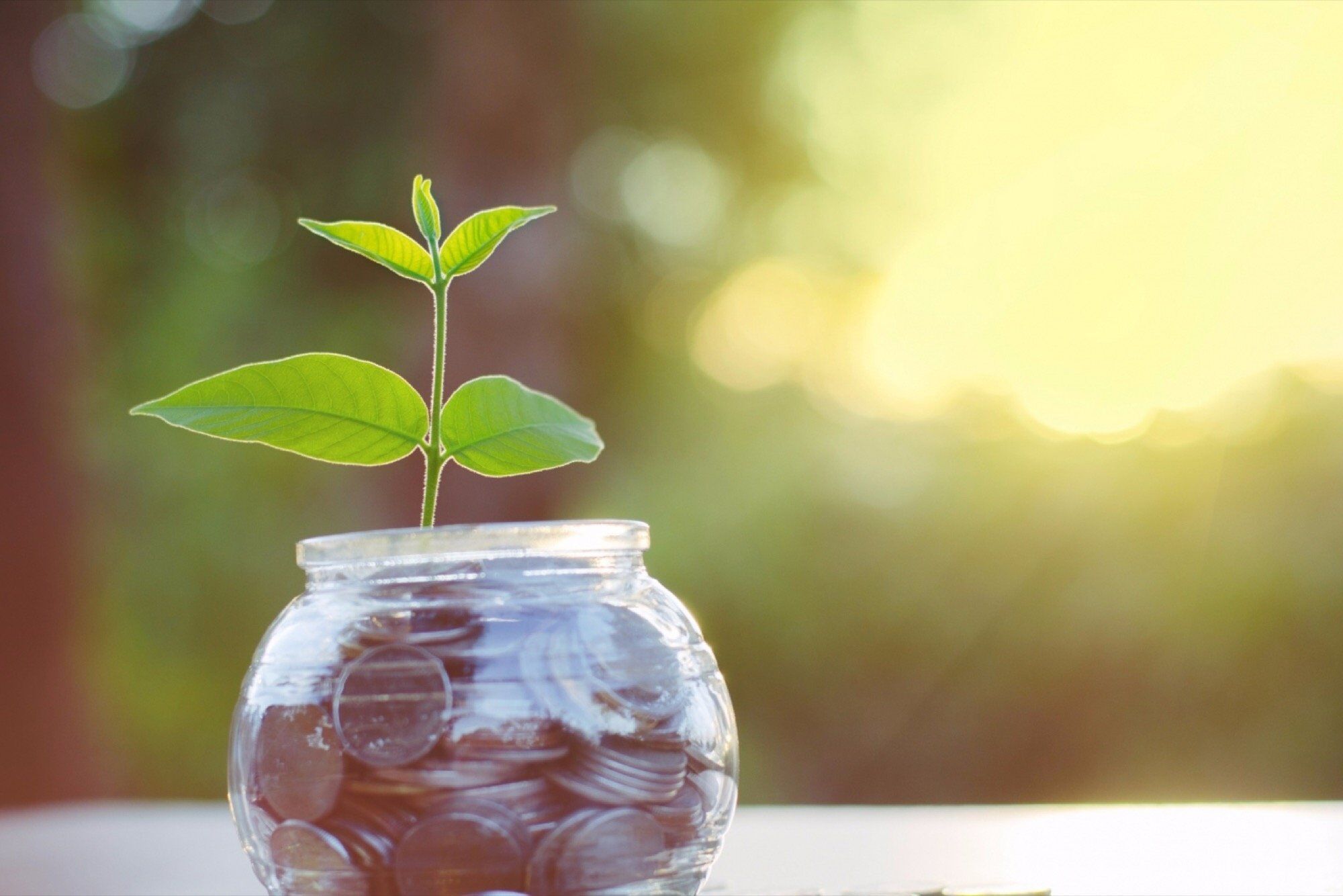 Agritech Startup Ninjacart Raises INR 250 Crore from Accel US & Syngenta Ventures