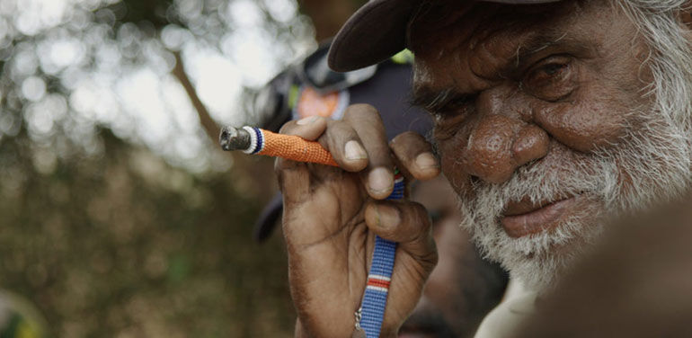 Transitions Film Festival Presents Visions for a Better World | PBA