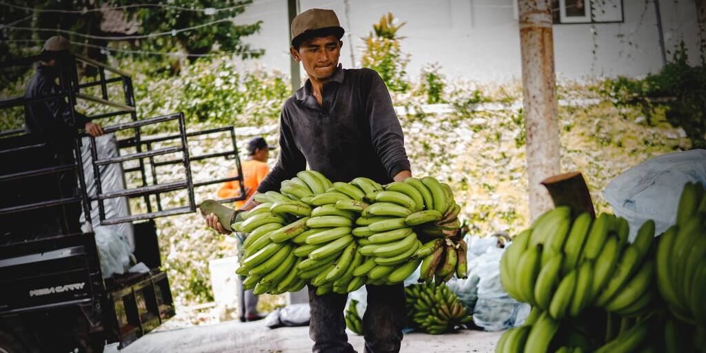 Asian startups thirsty for foreign investment