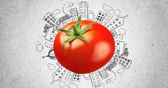 Chennai based Agritech Startup WayCool Raises $17 Mn from LGT Impact, Northern Arc Capital and Caspian Chennai based Agritech Startup WayCool Raises $17 Mn from LGT Impact, Northern Arc Capital and Caspian