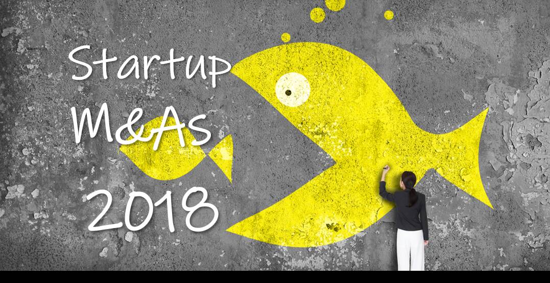Beyond Flipkart, acquisitions in 2018 favoured fintech and financial services startups Beyond Flipkart, acquisitions in 2018 favoured fintech and financial services startups