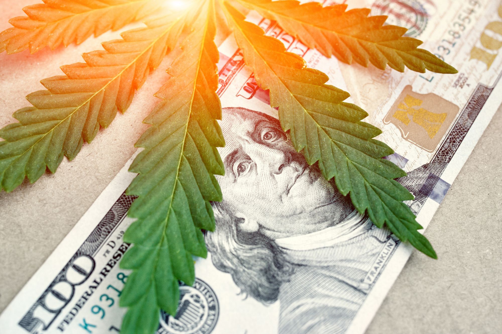 Here is Why Setting Up a Hemp Startup is Not Easy in India