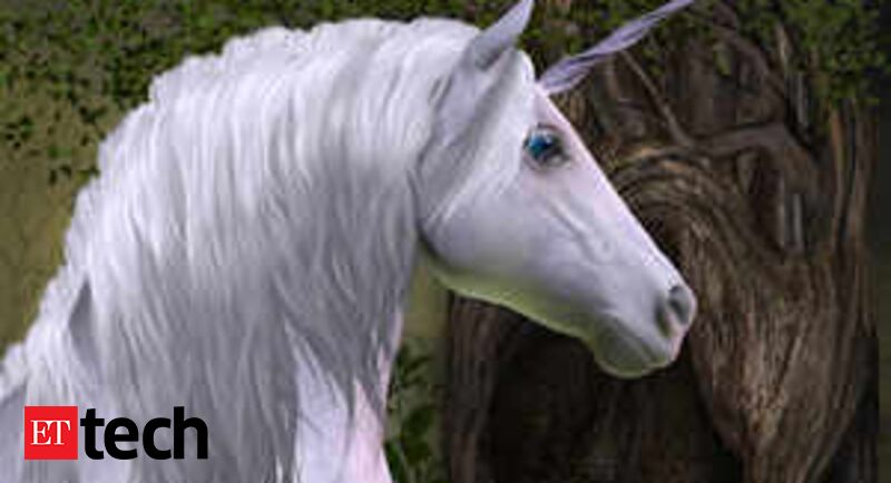 Startup Incs new establishment post Flipkart - ETtech