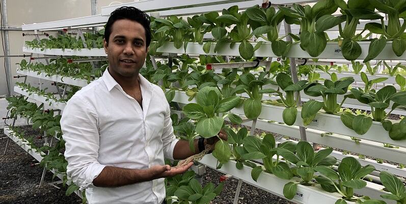 Roots of labour: IIM alumnis startup Barton Breeze brings farms to your doorstep