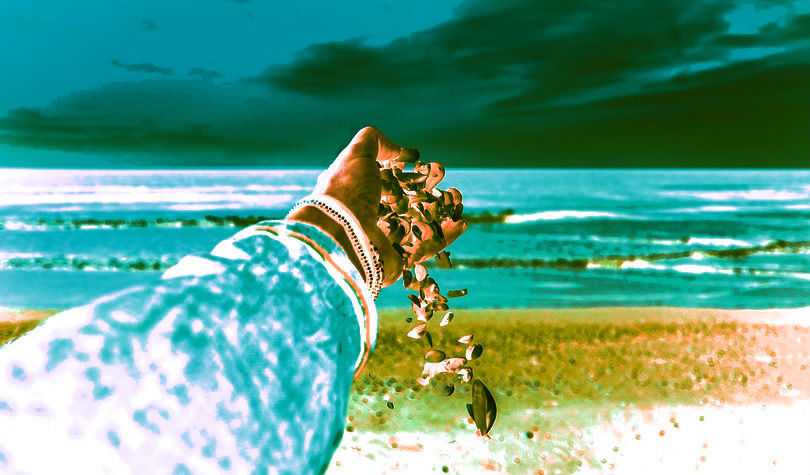 From Shells to Bitcoin: The Evolution of Payment Methods