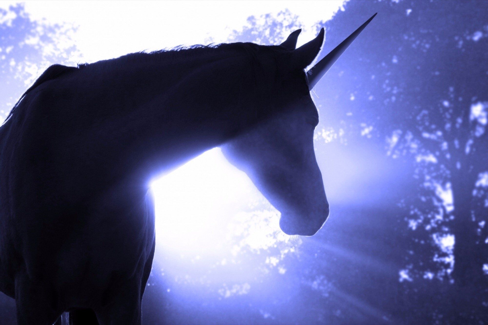 APAC Startups that Joined the Unicorn Club in 2018